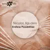 Nicolas Agudelo - Endless Possibilities - Single